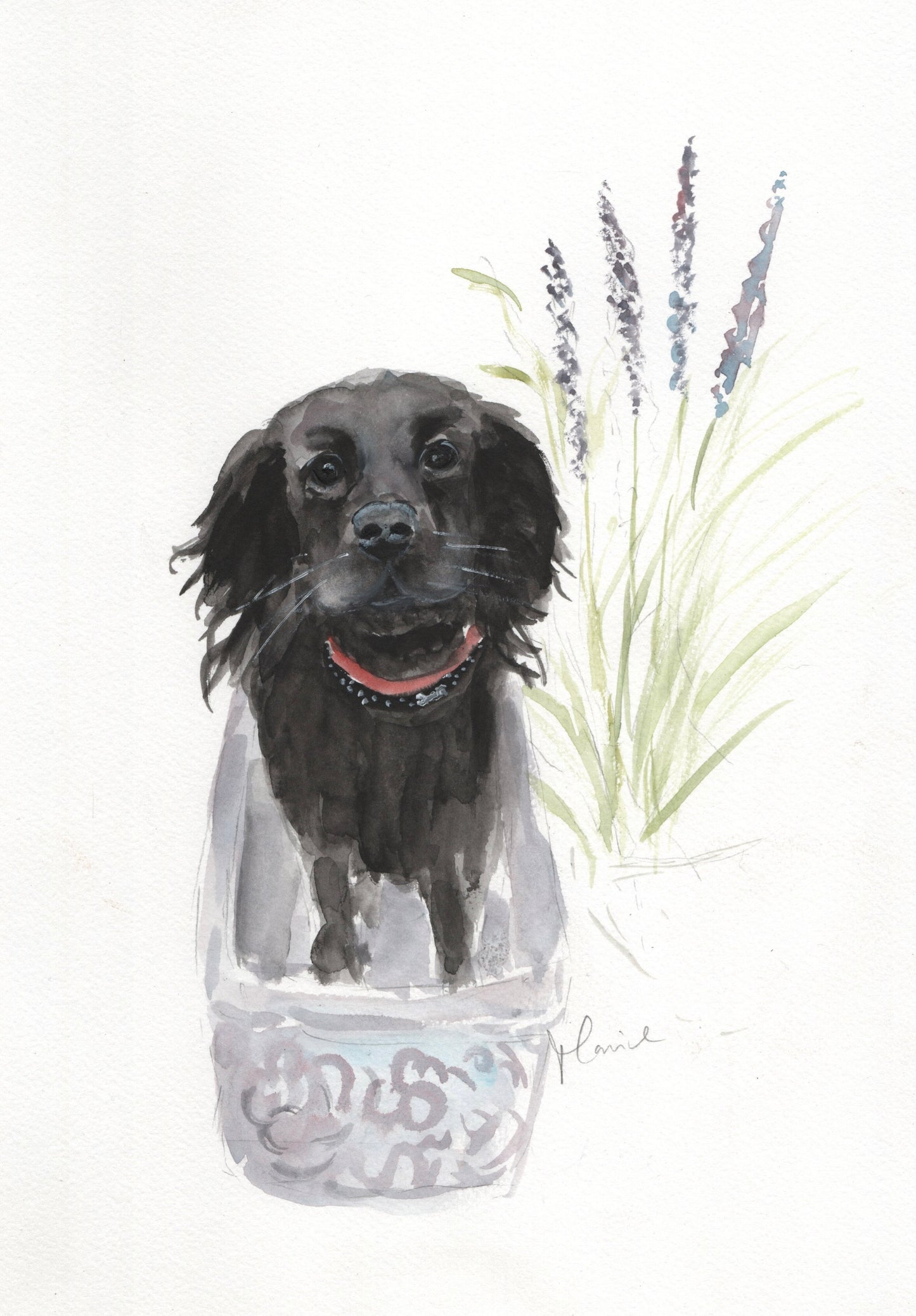 Custom pet portrait commission in coloured pencil