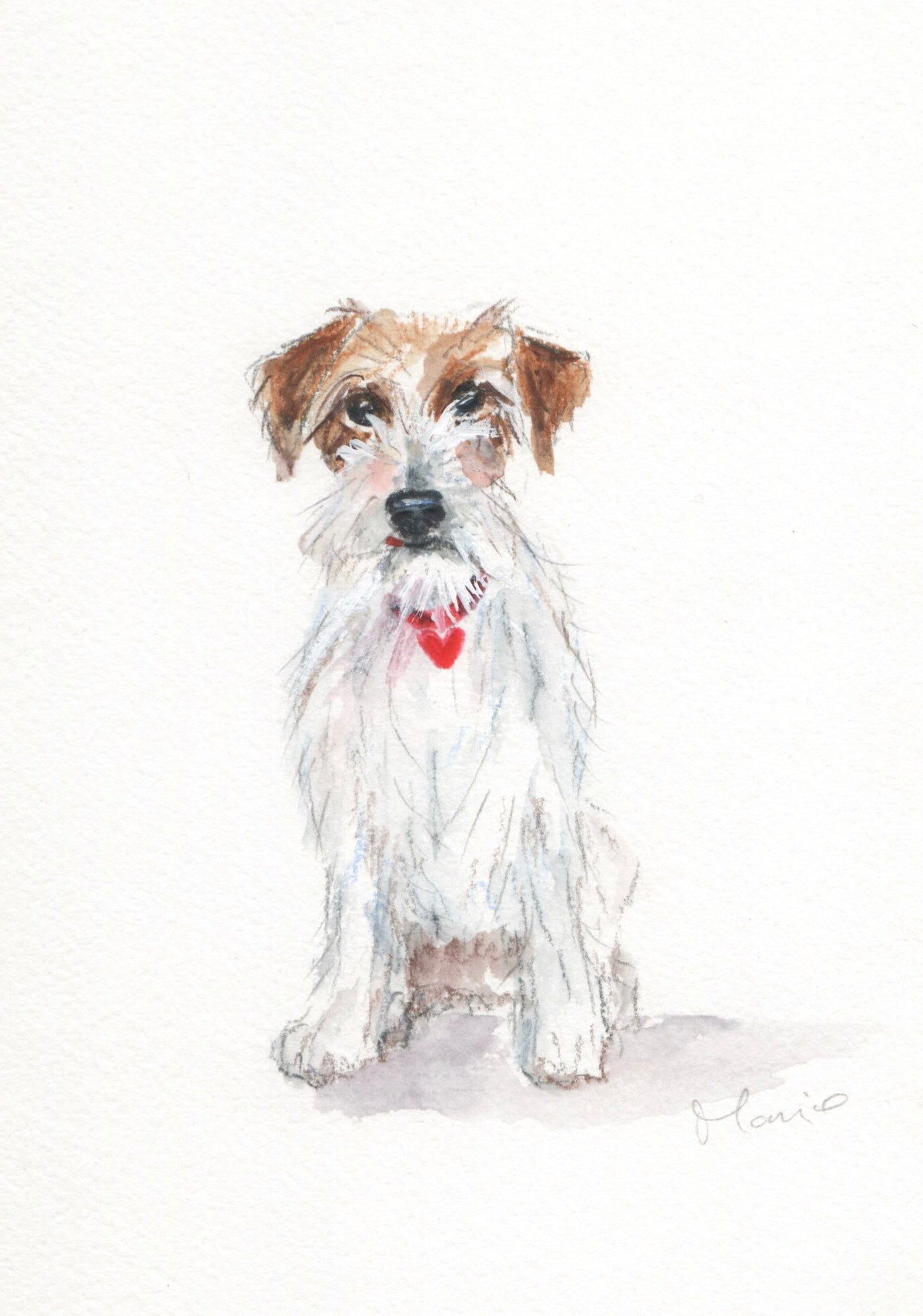 Custom pet portrait commission in coloured pencil