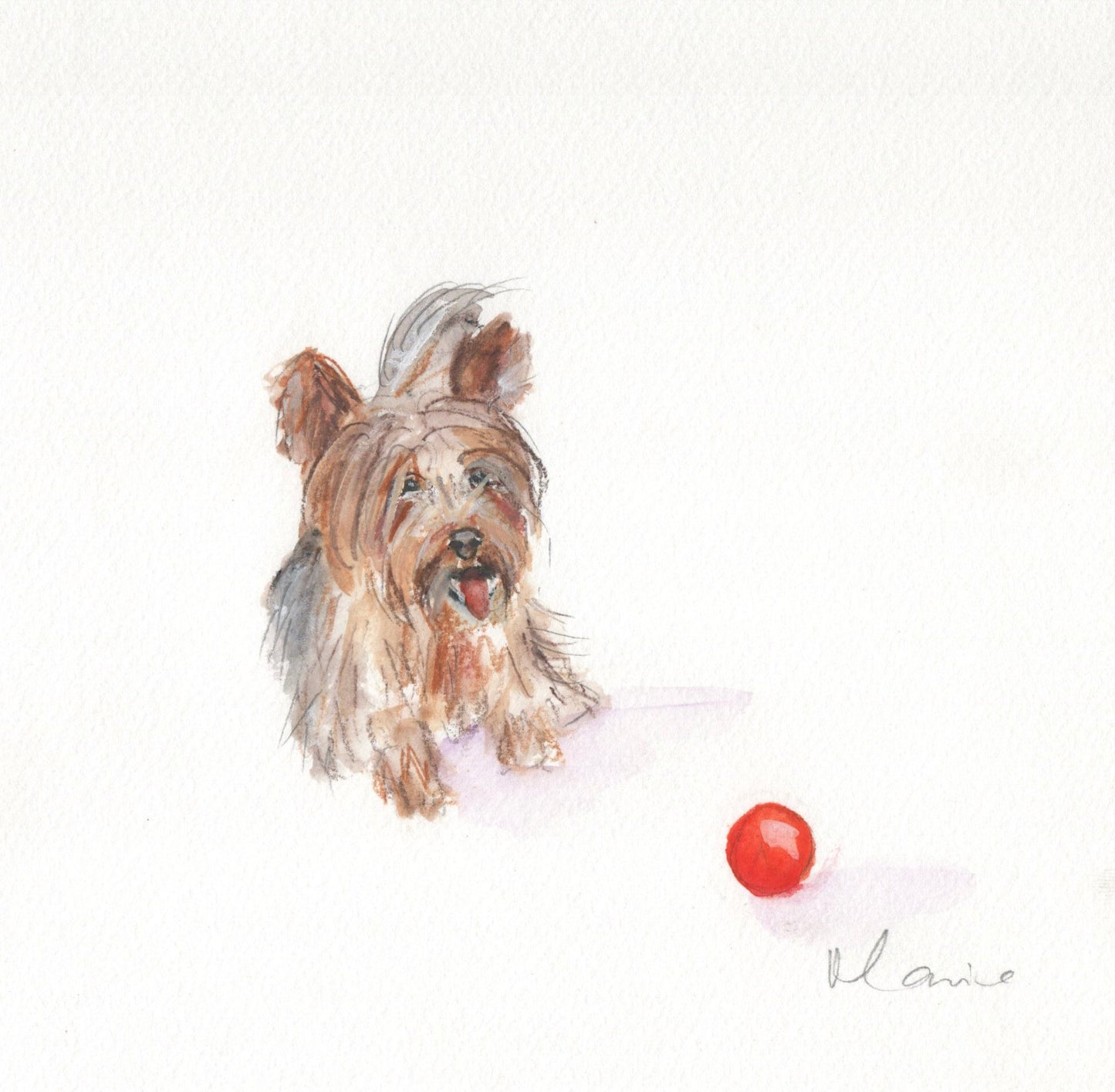 Custom pet portrait commission in coloured pencil