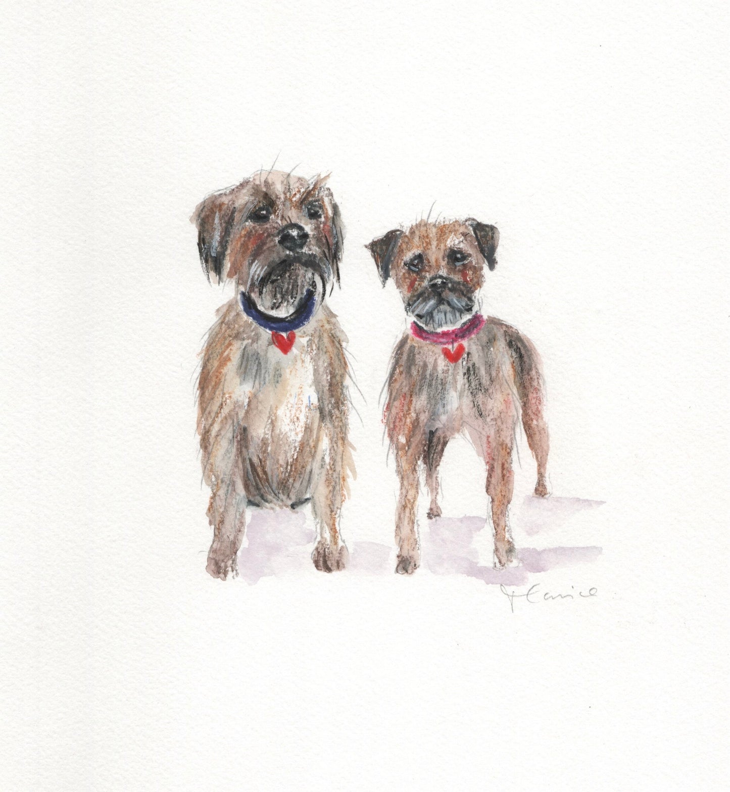 Custom pet portrait commission in coloured pencil