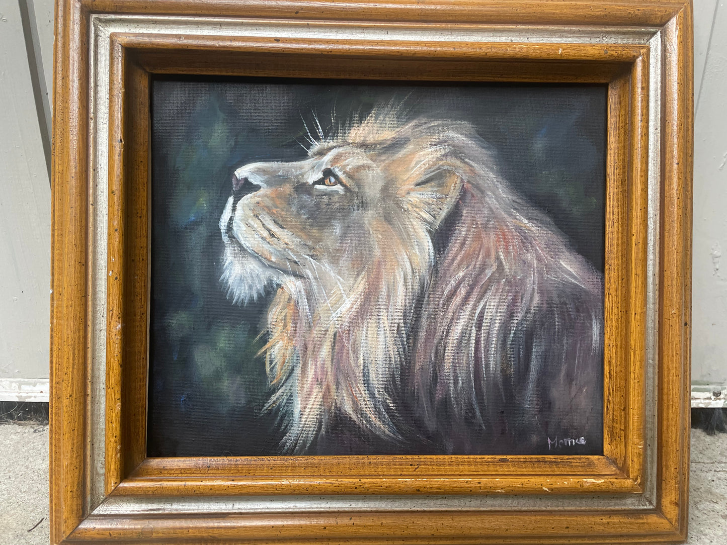 Lion portrait