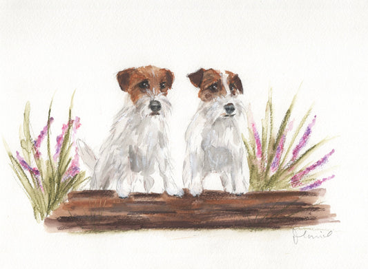 Custom pet portrait commission in coloured pencil