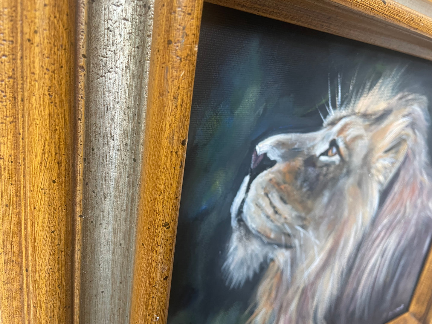 Lion portrait