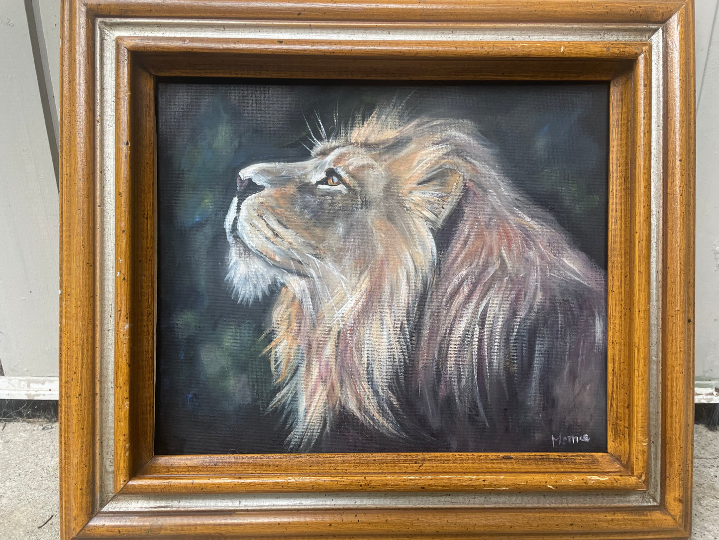 Lion portrait