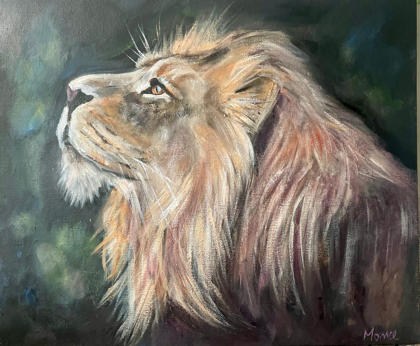 Lion portrait